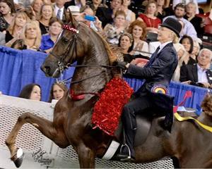 Elisabeth Goth, Howard Schatzberg, USEF Equestrian of the Year, 2015 Pegasus Awards