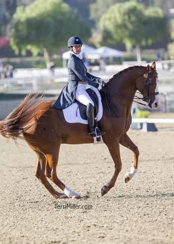 Elma Garcia, Wenesa, Parry Thomas, 2016 CDS Championship Show