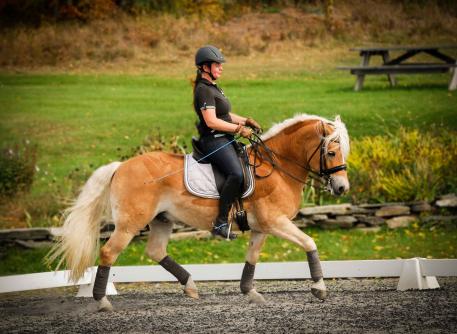 Competitors like Emilie Goddard of Vermont will be traveling from across the country to attend the 2017 National Dressage Pony Cup Championship Show in Lexington, Ky. in July.