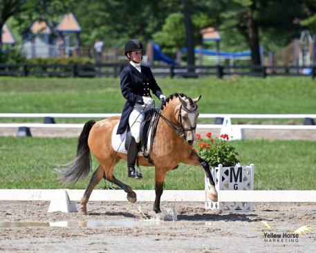 A few puddles weren’t going to keep California’s Emily Lasher and The Hot Topic of Spring Song from dancing to two titles at the 2017 National Dressage Pony Cup Championship Show. 