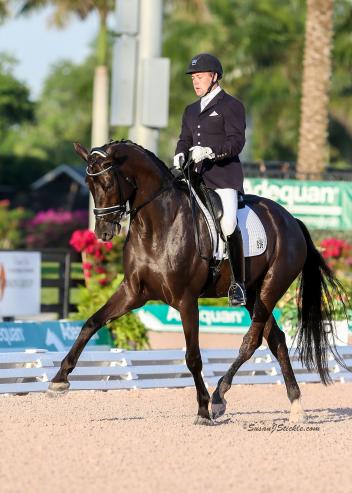 Endel Ots and Lucky Strike (Lord Laurie/His Highness) during the Adequan Global Dressage Festival 2016