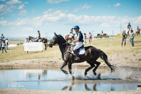 The Eventing Derby took place at The Colorado Horse Park on Friday, September 15, offering several different levels of competition. 