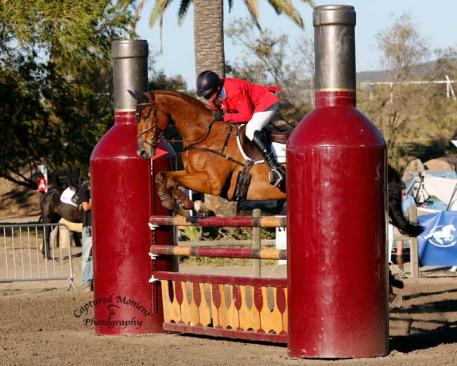 Phillip Dutton and Fernhill Fugitive jumped clear to win the CCI3*