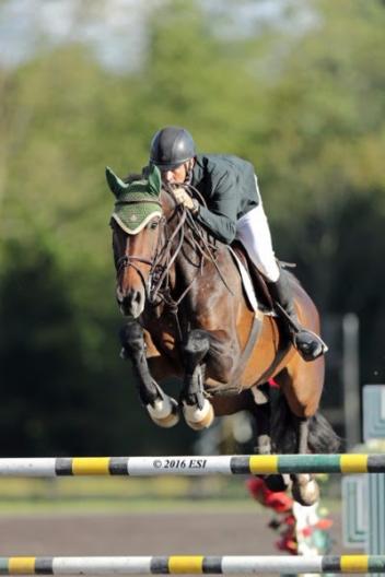 Gavin Moylan and Pernod on their way to a $30,000 HITS Grand Prix win. 