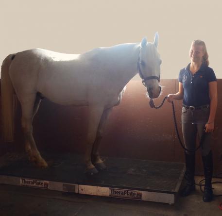 Hannah Irons and Bohdjan love using the TheraPlate at the Dressage4Kids barn