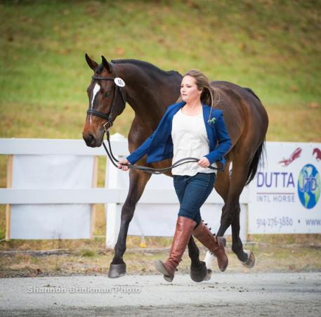 CCI ** Competitor Hannah Sue Burnett and Cooley Dream