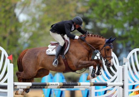 Harold Chopping and Basje on their way to a $25,000 Brook Ledge Open Jumper Prix win. 