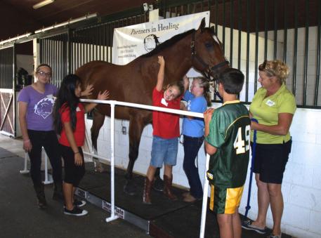 A Horses Healing Hearts therapy horse gets some love from Horses Healing Hearts participants while using the TheraPlate 