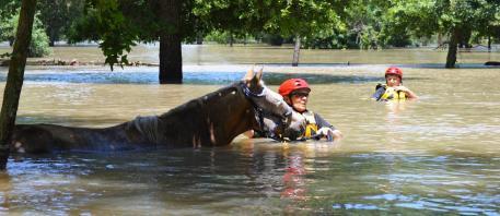 Donate Now! (Photo: Houston SPCA)