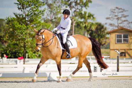 Dale Dedrick debuts Bardondales Ultrasuede at Welcome Back to White Fences IIIin preparation for the CPEDI3* at the Adequan Global Dressage Festival this weekend.