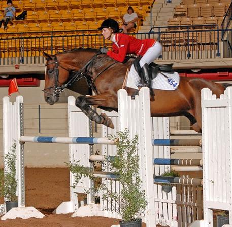 Featured May Internet Offering: Imported Holsteiner Mare - Winner at 1.40 in Germany and 1.30 in the USA.  Schooling 1.50 - 1.65