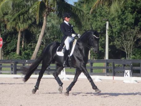Jaime Amian and team members, including Lauren Knopp on Amian’s horse Legend, won first place in the Gold Coast Fall Fling Team Competition at the Global Dressage Stadium