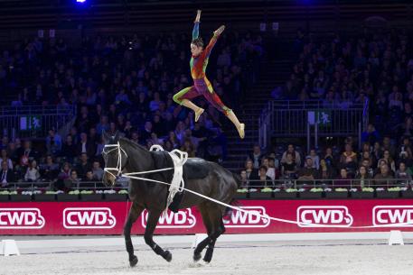 Janika Derks from Germany on Quartz d'Olbiche with a total winning score of 8,164 
