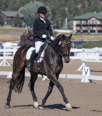 Julie Forman and her Hanoverian gelding Prince Berimba will look to leave the sidelines and get into the ring at this year’s US Dressage Finals by competing at this week’s Great American/USDF Region 5 Championships.
