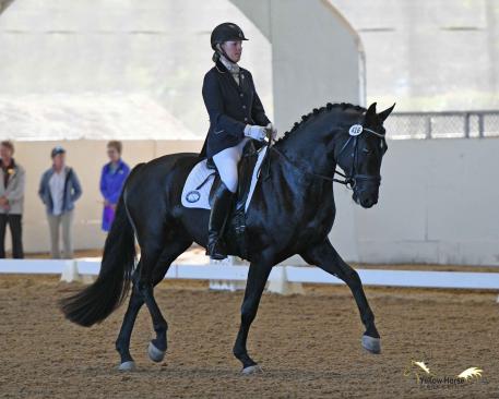 Karen Cornelius and Fiderello were foot-perfect in their First Level Freestyle to earn the first championship title awarded at the 2017 Great American Insurance Group/USDF Region 7 Championships, held as part of the 50th Anniversary California Dressage Society Championship Show