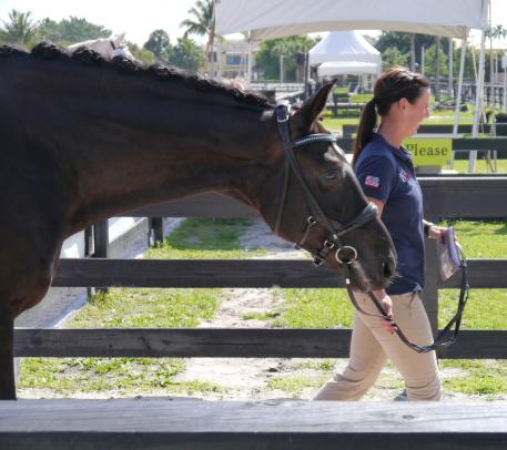 USA’s Kasey Perry-Glass, Danish Warmblood, Gorklintgards Dublet