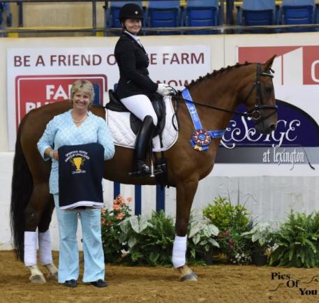 The Horse of Course was proud to sponsor Dressage at Lexington’s Sporting Horse Amateur Challenge. Riding for the winning team of Donna’s Divas was Kathyn Bennett on Just Georgie, who won their fourth level test with a 68.32 percent.