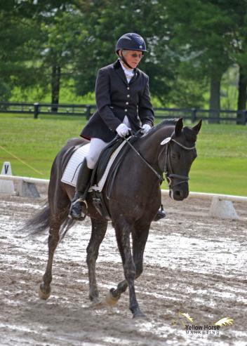 Intro, Adult Amateur, Champions, Nancy Wentz, Kells Xtra Kash