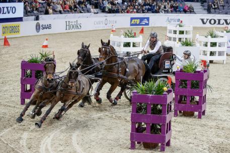 Koos de Ronde from Netherland with his Four-in-Hand team. FEI World Cup™ Final Driving Photo