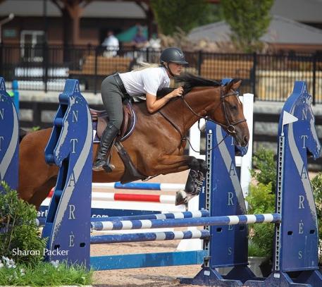 Kristen VanderVeen, owner of Bull Run Jumpers Inc., with Beeba in the Premier Equestrian 0.80m Low Jumper Division at Tryon International Equestrian Center (Photo courtesy of Sharon Packer)