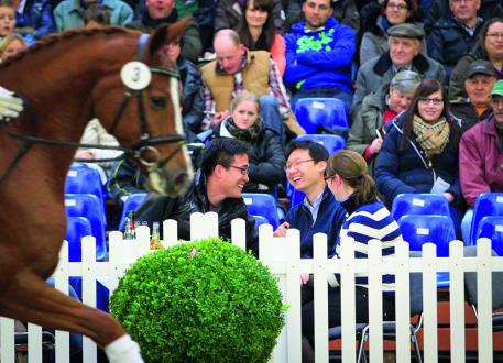 Hannoveraner Verband, Verden Auction