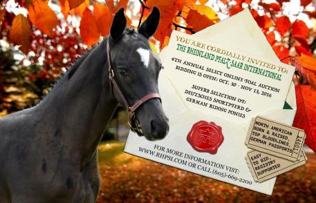 Rheinland Pfalz-Saar International, 3rd Annual Select Online Foal Auction, Breeding News
