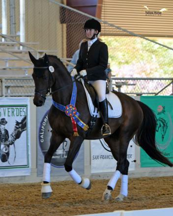 Dr. Lisa Teske’s leap of faith in purchasing a youngster paid off with a Great American/USDF Region 7 victory at the 50th Anniversary CDS Championship Show. 