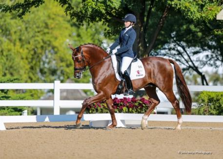 Lisa Wilcox and Gallant Reflection HU, 2016.  (Photo: John Borys)