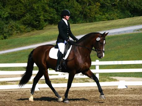Lynnette Jacobs competes at the IALHA National Championships on Omega Alpha Healthy Horse Award winner, Entero VDI (Photo courtesy of Jerrad Jacobs)