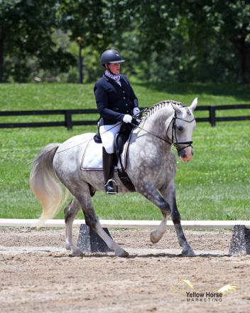 Kathryn Barry and Magnum claimed the 2017 National Dressage Pony Cup Six-Year-Old Futurity title.