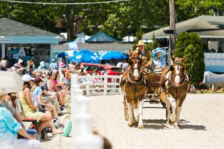 The Devon Horse Show and Country Fair is a prestigious horse show with a special and historic significance to pleasure carriage driving. (Photo: Brenda Carpenter)