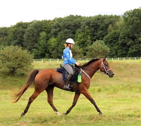 Omega Alpha Ambassador Meg Sleeper and Shyrocco Rimbaud are first to cross the finish line at the North American Endurance Team Challenge (NAETC) (Photo courtesy of Holly MacDonald)