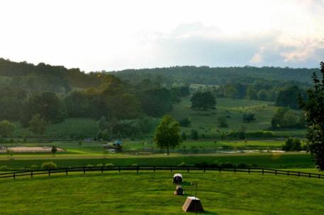 Morningside Training Farm (Connor Husain)