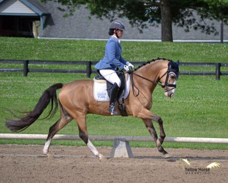 Lauren Chumley, Nikolas, National Dressage Pony Cup