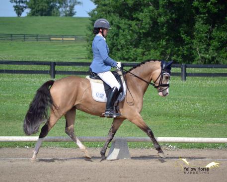 Lauren Chumley, Nikolas, National Dressage Pony Cup Five-Year-Old Futurity