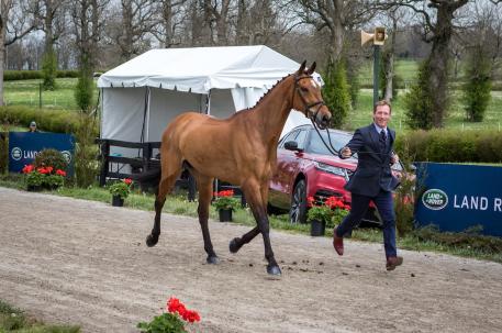 Oliver Townend and Cooley Master Class at the 2018 Land Rover Kentucky Three-Day Event Wednesday afternoon Horse Inspection