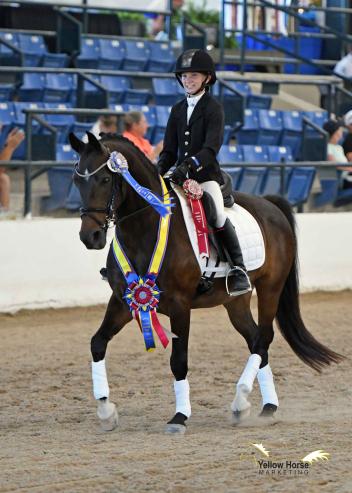 Eleven-year-old Olivia Brown celebrates her First Level 16 & Under victory aboard Balthazar at the 2017 National Dressage Pony Cup Championship Show.