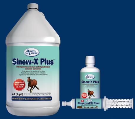 Sinew-X Plus with Hyaluronic Acid (in two sizes) and RegenerEQ Plus Paste