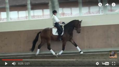 Online opprotunities is one of the many ways to earn credit through USDF University!
