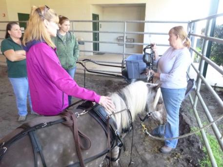 Elizabeth Rieselman sharing the basics on harnessing