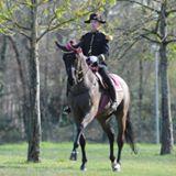 Through funding support from APAHA, American riding teachers are being given the opportunity to ride with Col. Patrick Teisserenc of the French National Riding School in Saumur, France.