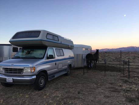 The morning of Peggy's first ride, Fire Mountain, in Ridgecrest, California. "It was my first time trailering a horse. I had bought portable panels you can see in the photo and Jager just ended up dragging them around as he tried to find grass so we switched to Hi-Ties. Just one of many experiments that didn’t quite work as planned!"