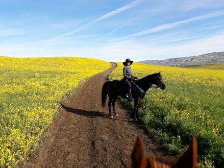 Cuyama Oaks Ride, March 2017, where Peggy completed two limited distance rides.