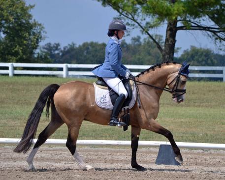 The 2016 NDPC will include Young Pony classes to showcase talented youngsters like Melissa Dowling’s four-year-old German Riding Pony Nikolas, ridden by Lauren Chumley