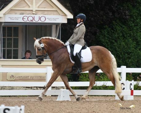 Julie Madriguera of Pilot Point, Texas rode Beth Sorensen’s Haflinger mare Stevie Nicks to the win in the First Level Open division for Small Horses on Day One of the 2018 National Dressage Pony Cup & Small Horse Championships.  Photo by Jennifer M. Keeler