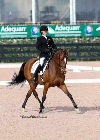Rebecca Hart and Schroeter's Romani