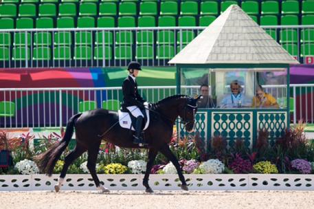 Rio Rio, 2016 Paralympic Team Horse, HorseMarket