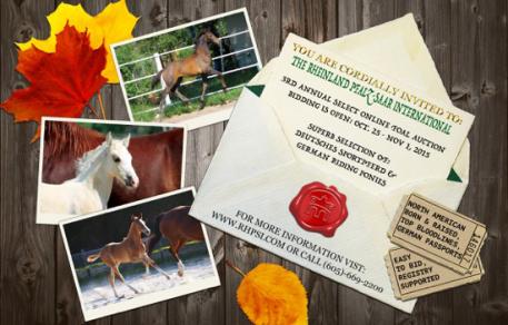Rheinland Pfalz-Saar International, 3rd Annual Select Online Foal Auction