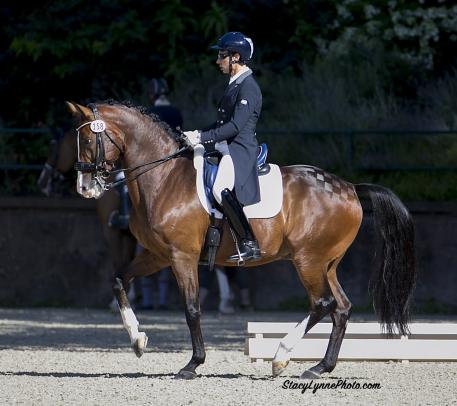 Sahar and Whitman piaffe their way to the top to win the Grand Prix at The Eastern States Dressage and Combined Training Association (ESDCTA) Summer Days Dressage Show in Gladstone.