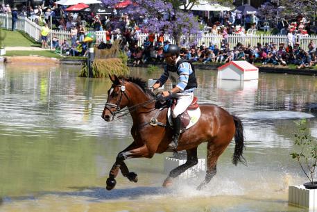 With perfect weather a huge crowd came to support the riders today. Shane Rose riding Michelle Hasibar and Brett Jones', Virgil rode one of only two double clear rounds to move from seventh to second place